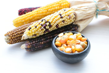 Diversity of very colorful, organic and natural ears