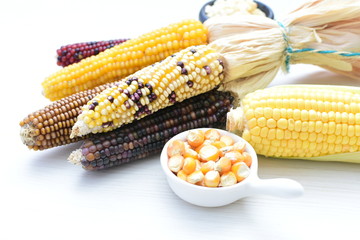 Diversity of very colorful, organic and natural ears