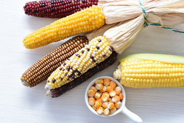Diversity of very colorful, organic and natural ears