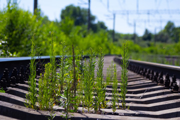 railways outdoors in the sunny day