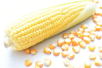 Diversity of very colorful, organic and natural corn