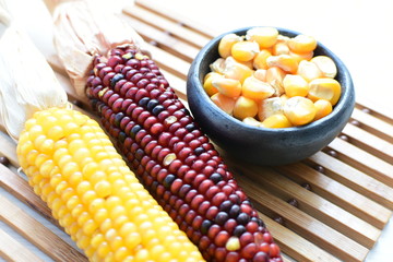 Diversity of very colorful, organic and natural corn