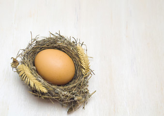 egg in a nest on a wooden wooden background selective