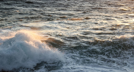 Sunlit Wave Evaporates
