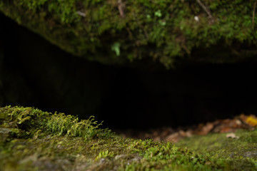 cueva