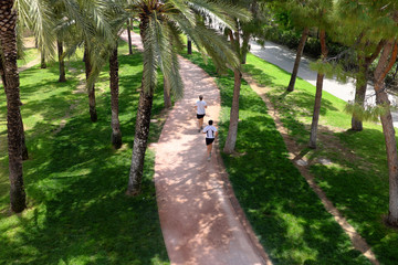 Two runners run along a gravel path in the park among the trees. Photographed from the bridge....