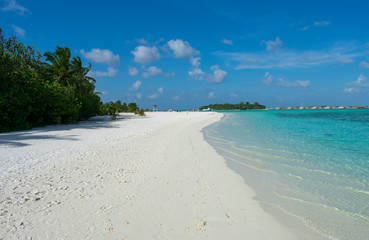Maldive, north Male atoll - December 28 2019 - The wonderful nature of the Maldives