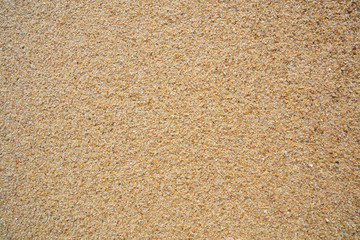 Coarse beach sand texture with pebbles