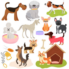 Dogs of different breeds, puppy set cute pets, vector illustration. Funny animals cartoon characters, playful puppy, toys and accessories for domestic pet. Various dogs, hound and terrier.