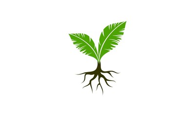 Plant seed icon logo