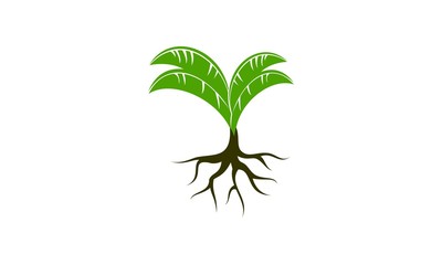 Plant seed icon