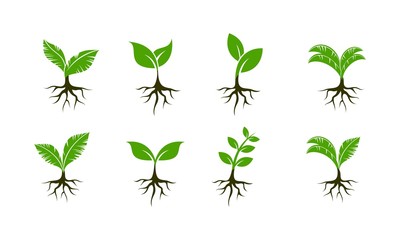 Plant seed set template vector icon