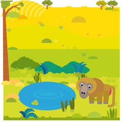 cartoon safari scene with wild animal baboon on the meadow illustration