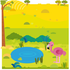 cartoon safari scene with wild animal flamingo bird on the meadow illustration