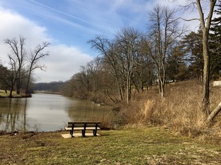 bench in the park