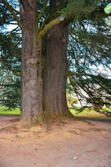 The beautiful gardens of the Royal Site of La Granja de San Ildefonso
