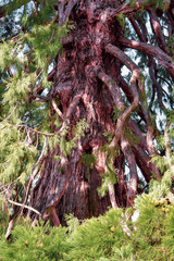 The beautiful gardens of the Royal Site of La Granja de San Ildefonso