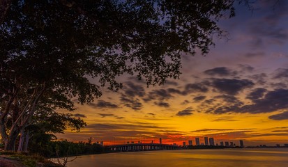 sunset tree sky yellow aquatic sunrise sun landscape cloud nature river sea dusk miami florida orange red forest early morning © Alberto GV PHOTOGRAP
