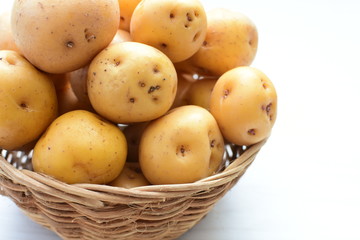 yellow Creole potato, natural organic