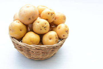 yellow Creole potato, natural organic