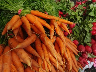 bunch of fresh carrots