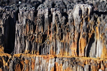tree, wood, nature, texture, old, water, brown, forest, winter, abstract, landscape, bark, cold, natural, waterfall, pattern, wall, ice, rough
