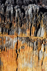 wood, texture, tree, old, wall, nature, brown, pattern, bark, abstract, wooden, natural, plank, water, surface, textured, grunge, weathered, board, rough, material, panel, closeup, timber, forest