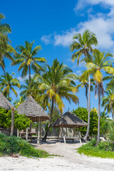 Tropical beach with coconut palm trees on the island of Zanzibar, Tanzania, Africa. Travel and vacation concept - obrazy, fototapety, plakaty