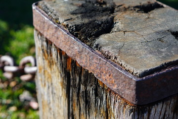 wood, old, tree, nature, log, texture, wooden, brown, green, forest, timber, axe, bark, wall, board, stump, metal, house