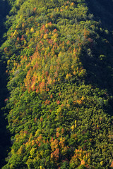 Fototapeta premium green mountain