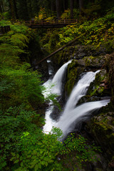 Silky white waterfalls in the lush, green forest of Olympic National Park