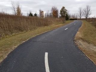 Curved paved footpath winding through natural park