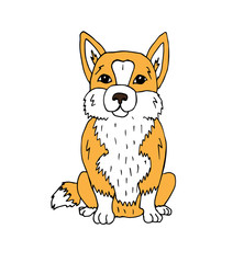 Vector hand drawn doodle sketch colored corgi dog isolated on white background
