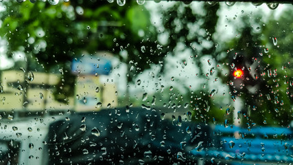 Rain drop macro shot.