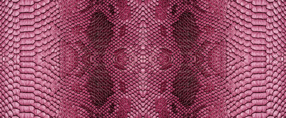 Snake skin texture closeup background. Panoramic web banner with copy space background