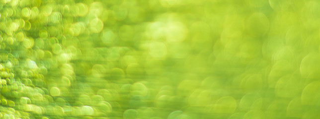 Green abstract background with bokeh defocused lights