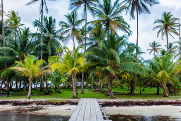 Obraz na płótnie Canvas Pier dock to palm fringed island