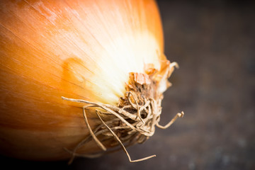 Fresh onion on the dark rustic background. Selective focus. Shallow depth of field.