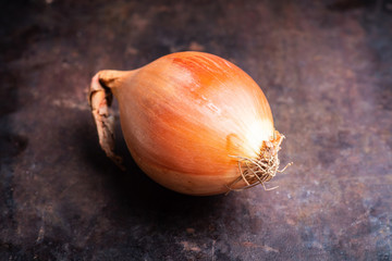 Fresh onion on the dark rustic background. Selective focus. Shallow depth of field.