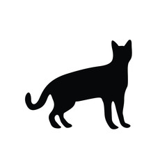 silhouette of a cat