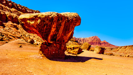 Large Balanced Rock Toadstool near Lee's Ferry in Glen Canyon National Recreation Area at Vermilion...