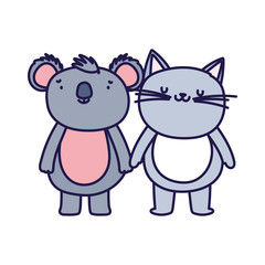 little cat and koala cartoon character on white background