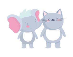 little cat and elephant cartoon character on white background