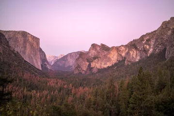 Fototapete Rocky Mountain High purple mountains majesty California forest wilderness Yosemite National Park © Fred Facker