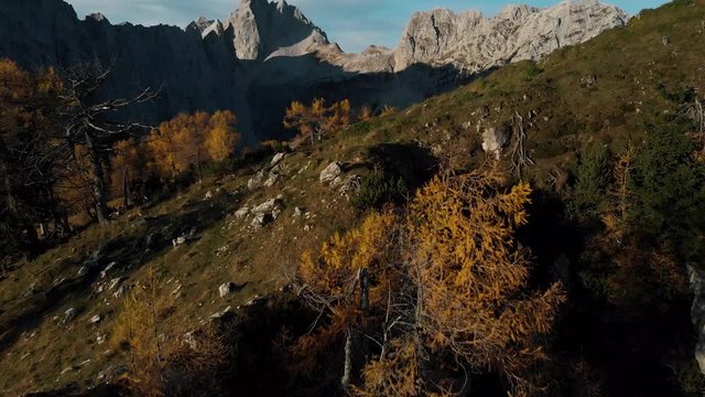 Flying over autumn forest in Slovenian mountains, slemenova spica