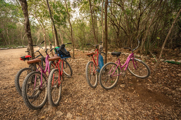 Fototapeta na wymiar bycicles parked on the jungle