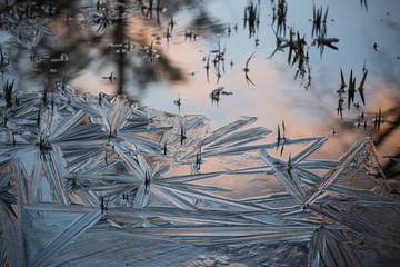 池の薄氷