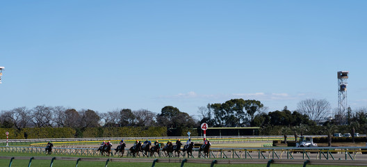 Horse race