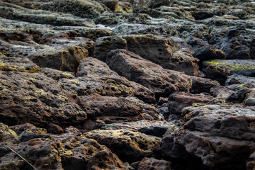 black rocks on the beach
