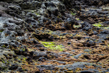 Fototapeta premium black rocks on the beach